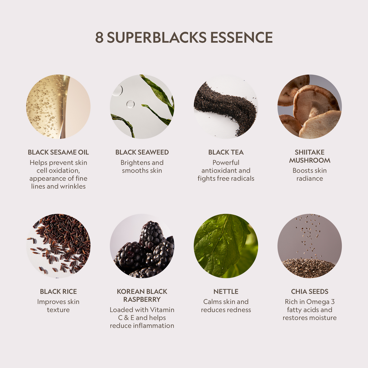 Skin On Skin BB + CC Full Coverage Hyaluronic Serum Concealer — featured ingredient information